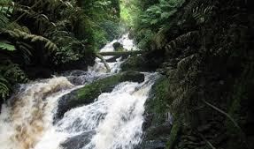 Waterfall in Nyungwe forest
